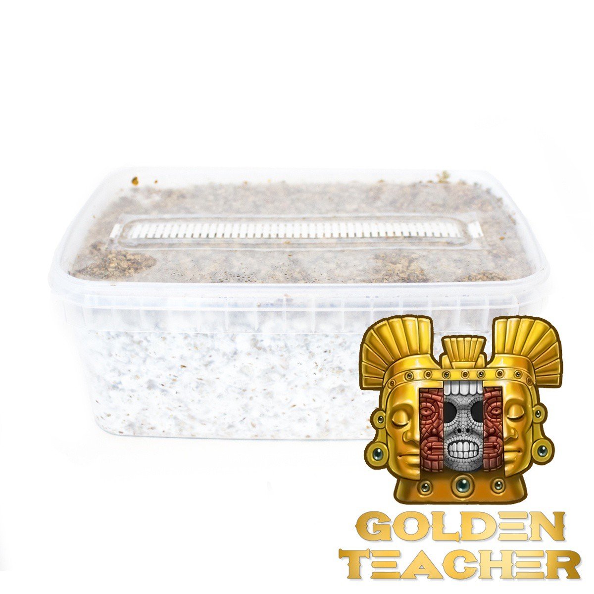 golden-teacher-magic-mushroom-grow-kit-2100cc.jpg