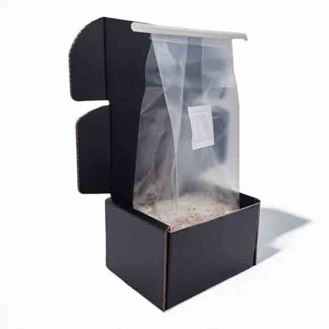 Jack Frost Paddo Grow Kit - Image 2