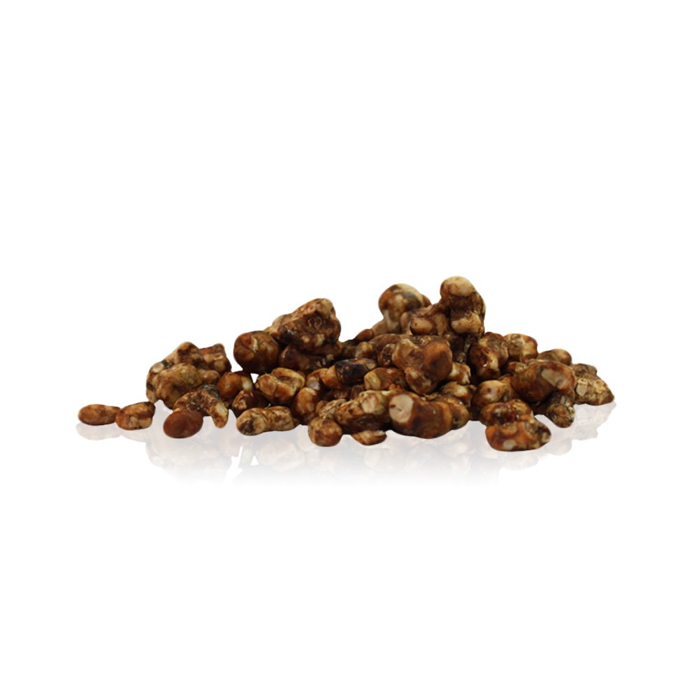 ‘Lost in Space’ (Tampanensis) 15G – Indian Spirit Truffles - Image 2