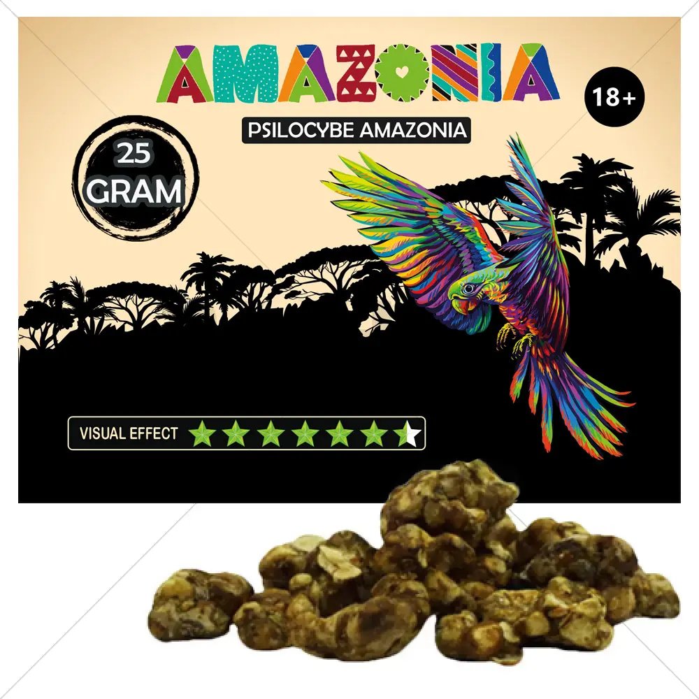 magic-truffels-psilocybe-amazonia-25-gram.jpg