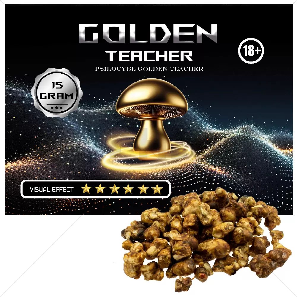 magic-truffels-psilocybe-golden-teacher-15-gram.jpg